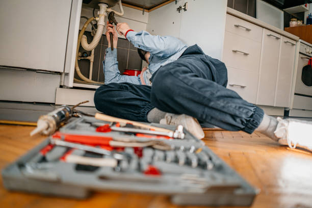 Best Affordable Plumbing Services  in Tucson Mountains, AZ